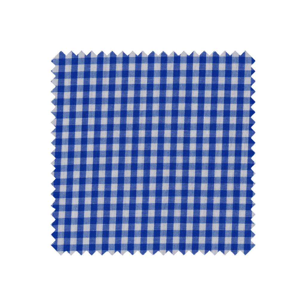 Blue and white checkered fabric swatch on a white background