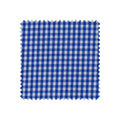 Blue and white checkered fabric swatch on a white background