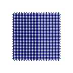 Blue and white checkered fabric swatch on a white background